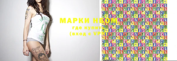 индика Балахна
