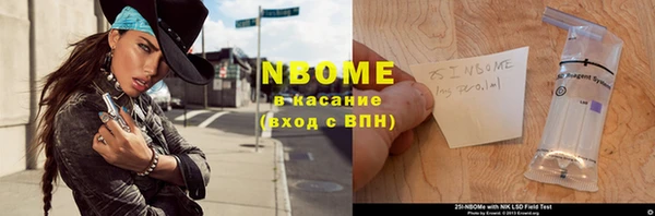 индика Балахна
