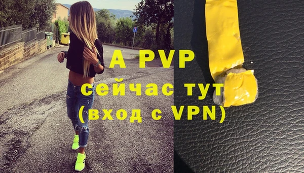 индика Балахна