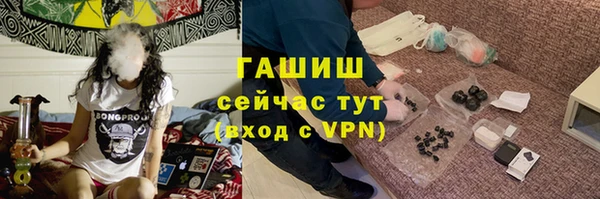 индика Балахна