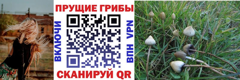Галлюциногенные грибы MAGIC MUSHROOMS  Кропоткин 